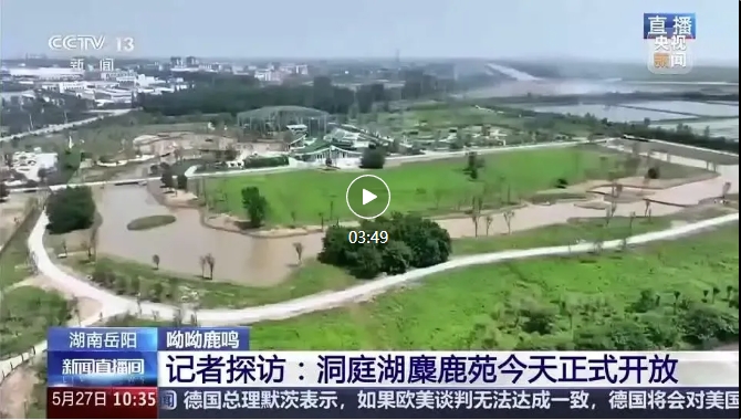 央視報道 | 易大設(shè)計EPC項目-湖南東洞庭湖麋鹿和鳥類救助避難中心正式開園